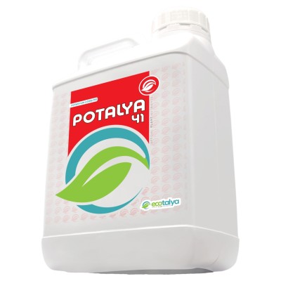 POTALYA 41®